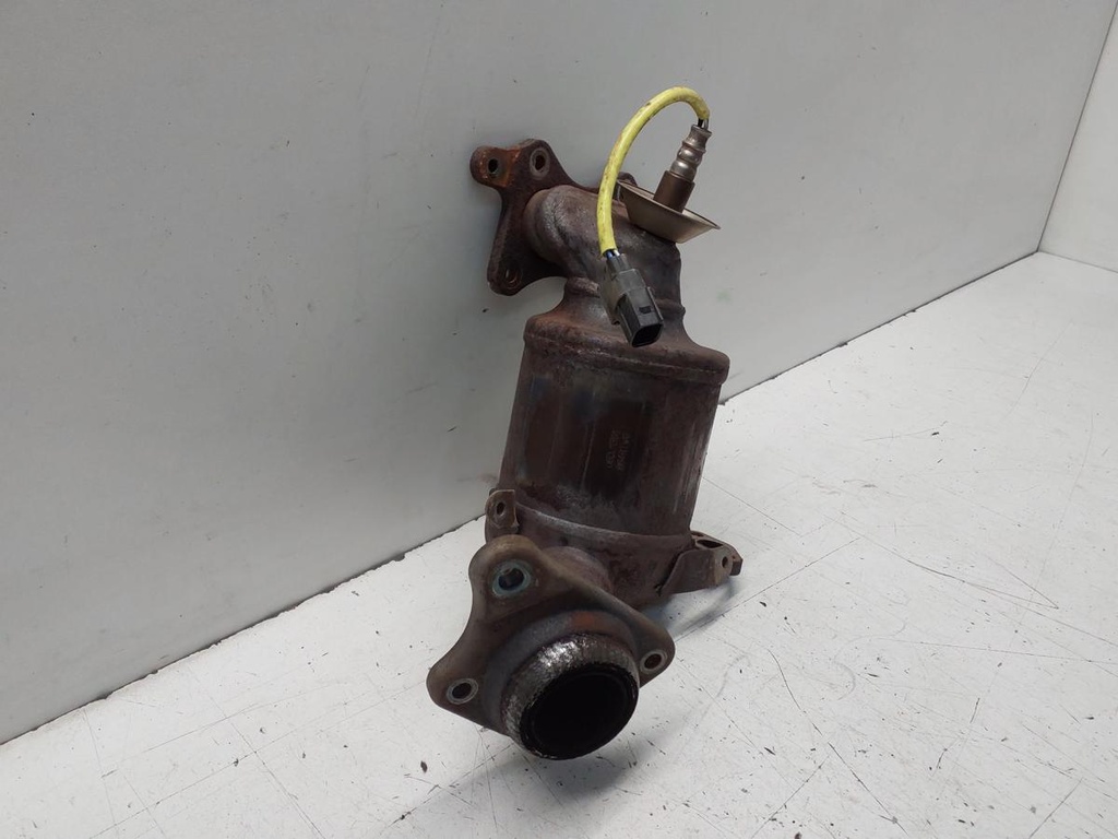 20251107_093746.jpg