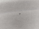 20251113_134306.jpg