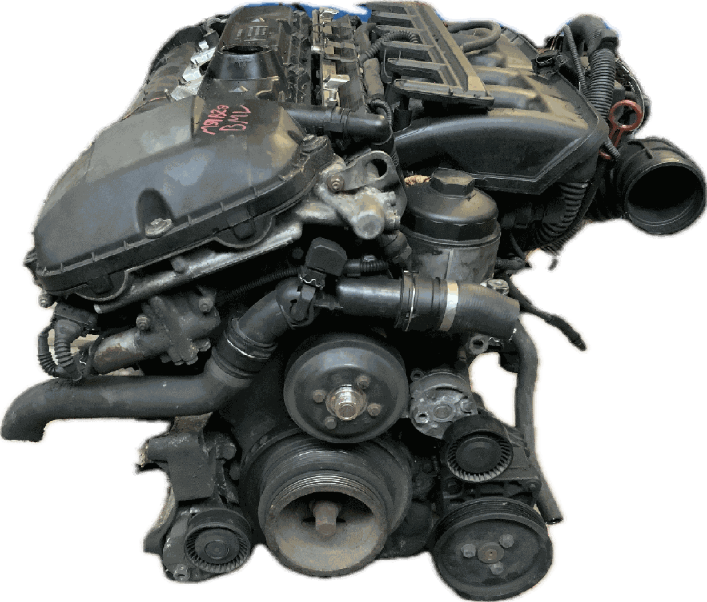 IMG_3369.png
