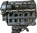 IMG_3370.png
