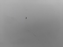 IMG_20251117_153840.jpg