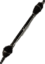 IMG_3646.png