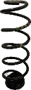 IMG_3650.png