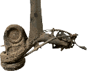 IMG_3757.png