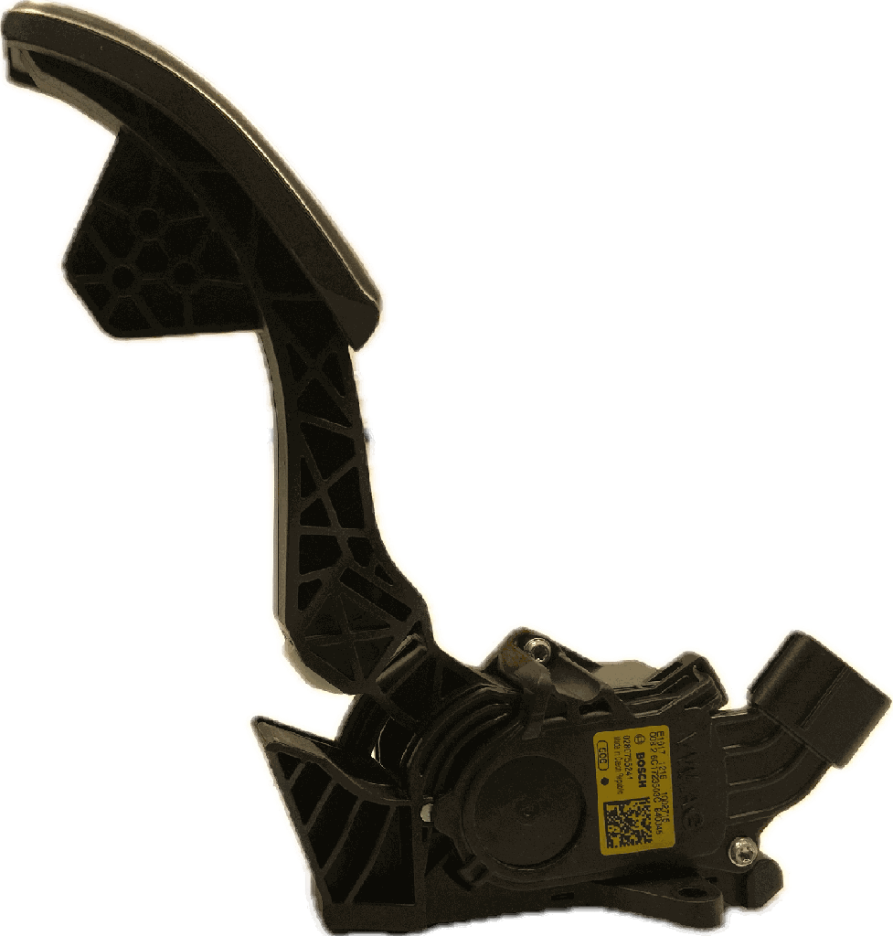 IMG_4571.png