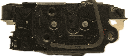 IMG_4558.png