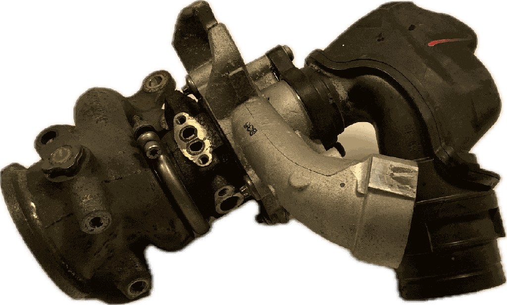 IMG_4581.png