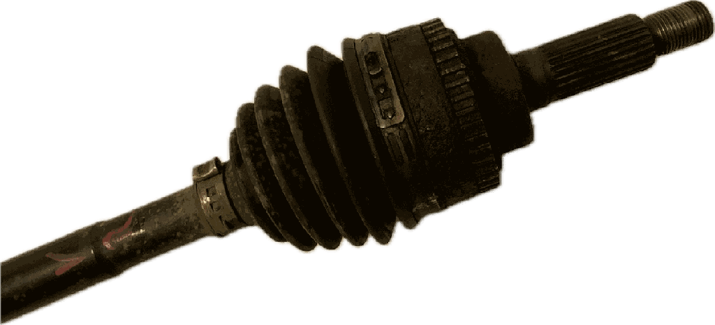 IMG_5146.png