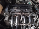 IMG_20251127_154959.jpg