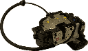 IMG_5328.png