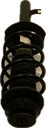 IMG_5646.png