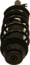 IMG_5645.png
