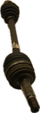 IMG_5650.png