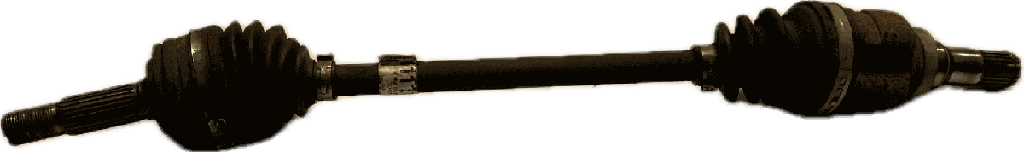 IMG_5648.png