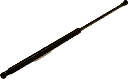 IMG_6881.png
