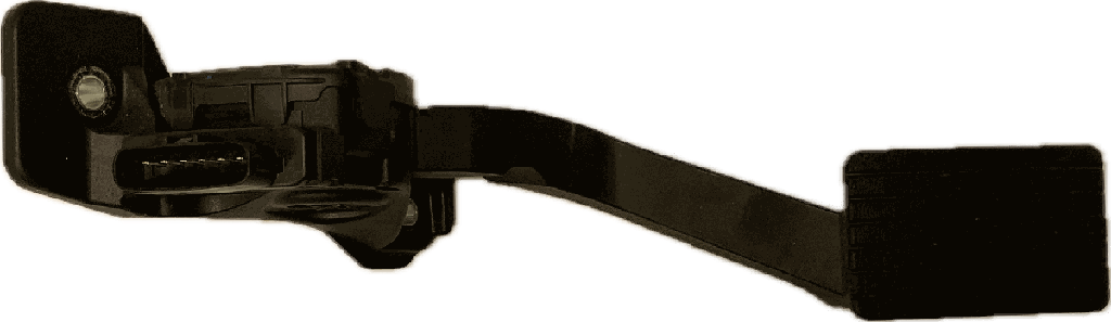 IMG_6895.png