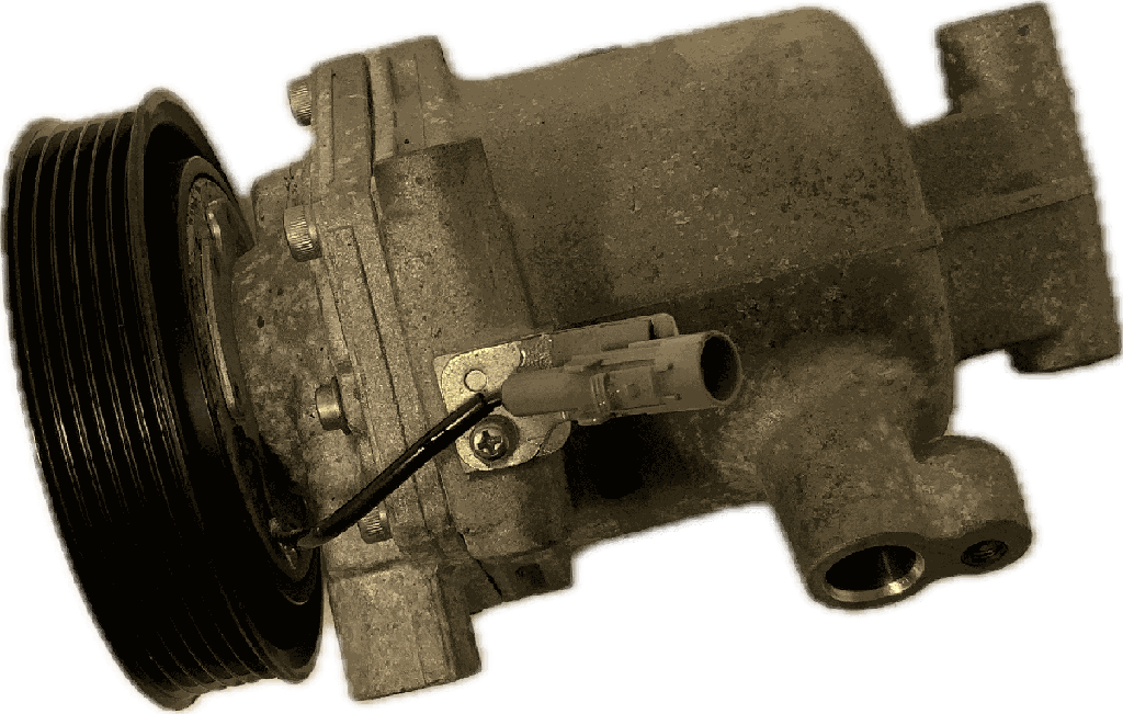 IMG_6824.png