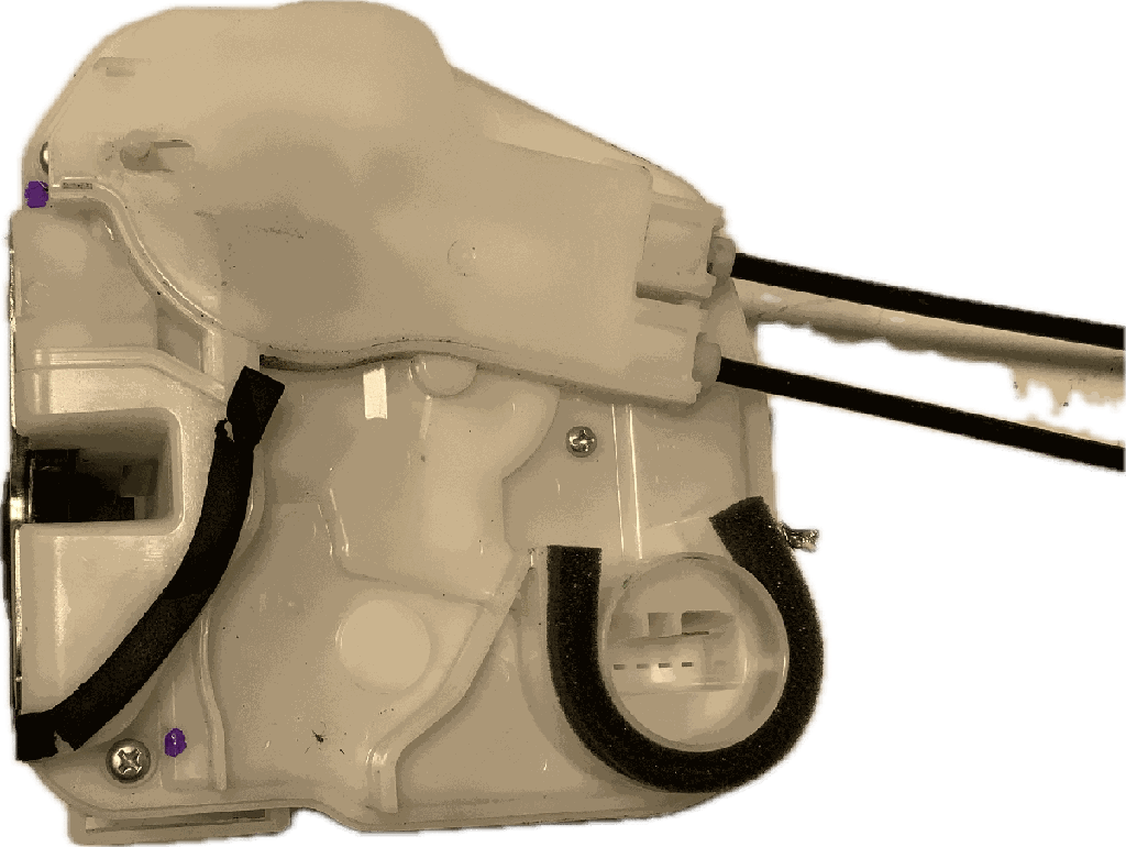 IMG_6979.png