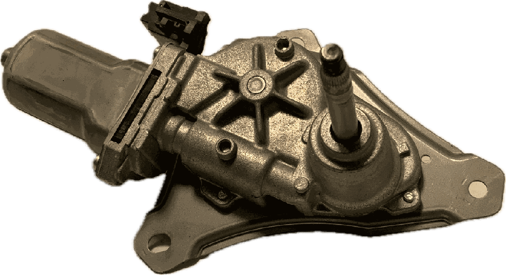 IMG_6903.png