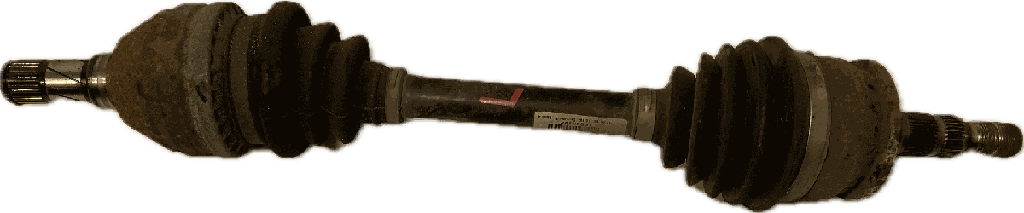 IMG_7491.png
