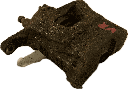 IMG_7470.png