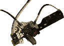 IMG_7413.png