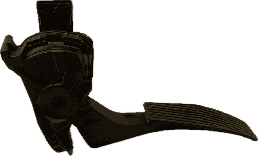 IMG_7339.png