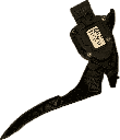 IMG_7336.png