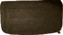 IMG_7331.png