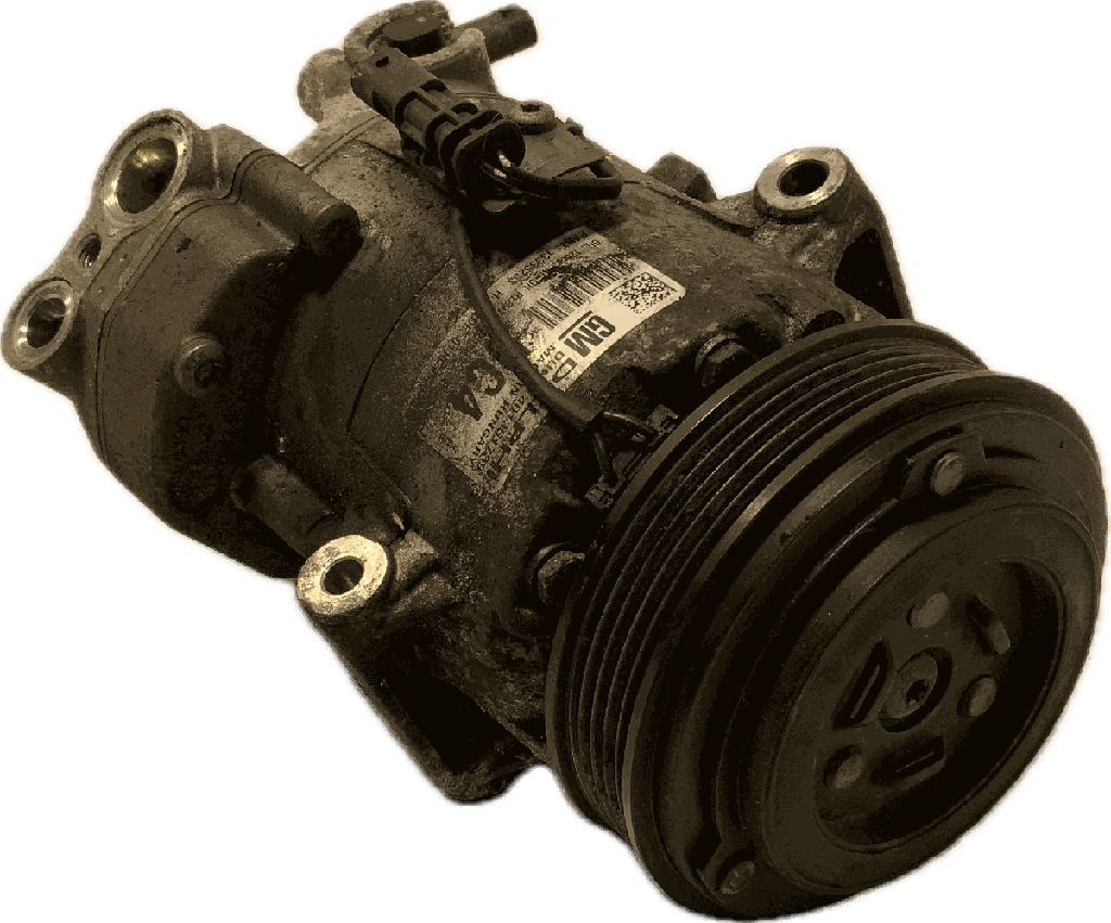 IMG_7426.png