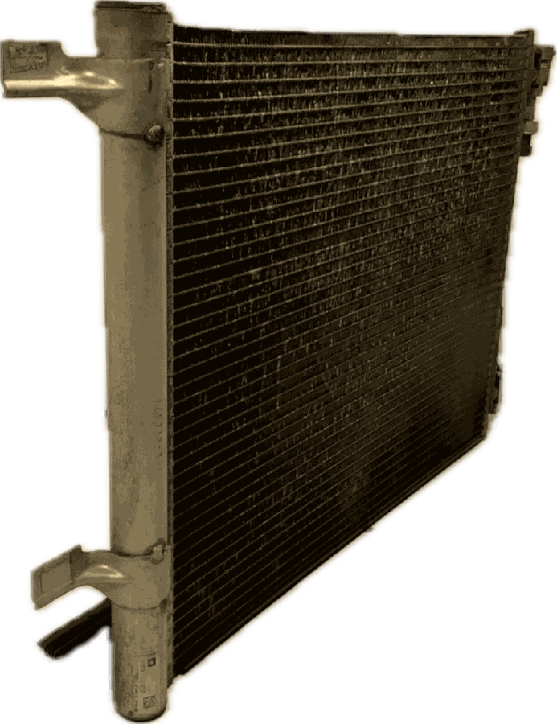 IMG_7438.png