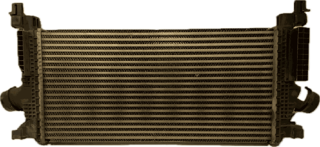 IMG_7444.png