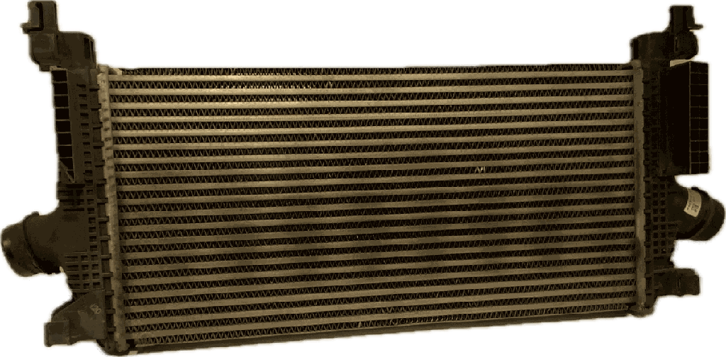 IMG_7443.png