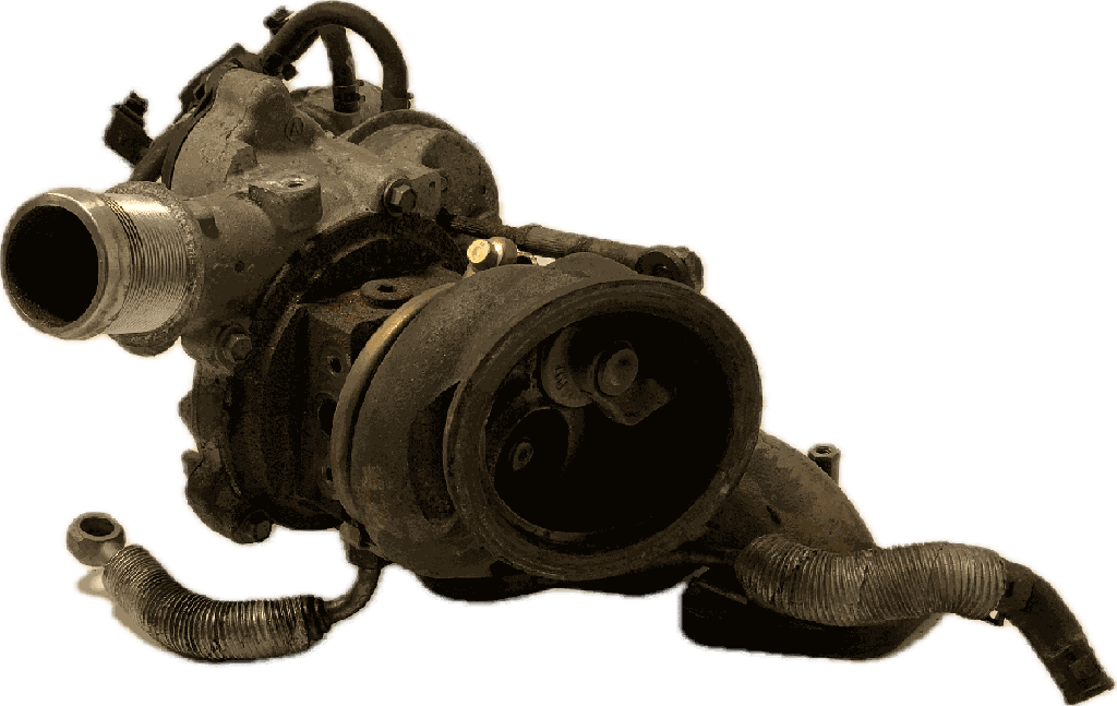 IMG_7433.png