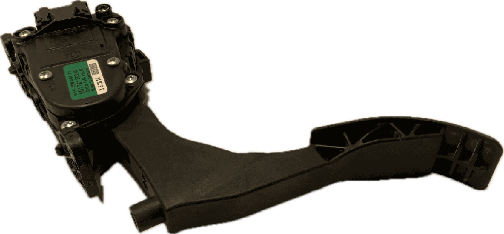 IMG_7681.png