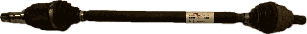 IMG_8026.png