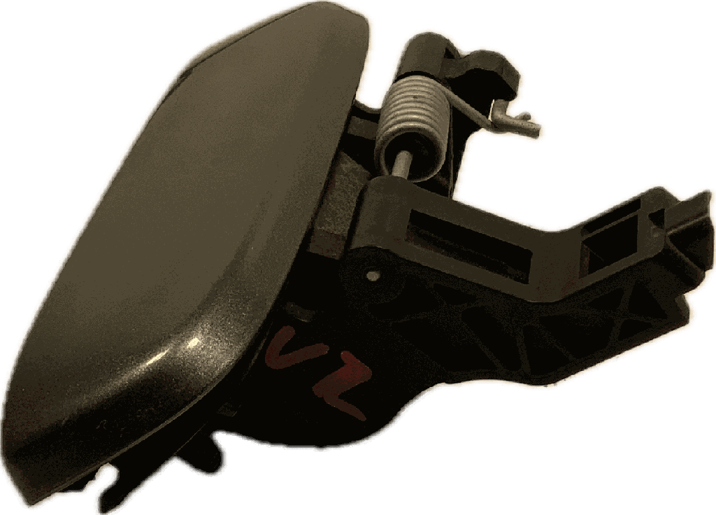 IMG_7975.png