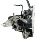 IMG_7937.png