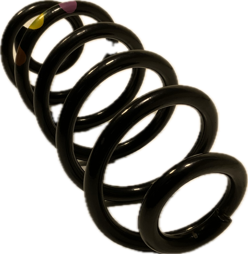 IMG_8007.png