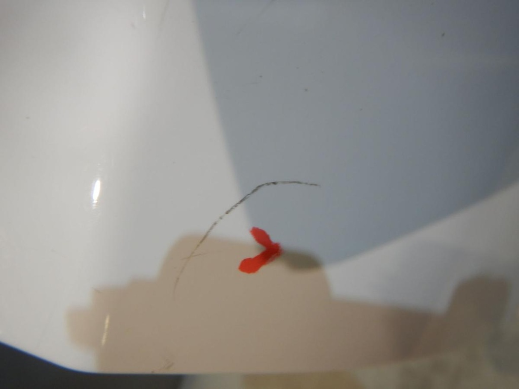 DSCN8537.JPG