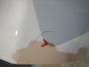 DSCN8537.JPG