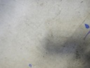 DSCN8669.JPG