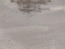 IMG_20260102_114018.jpg