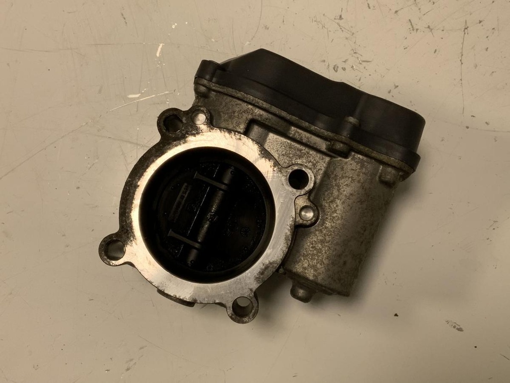 IMG_8207.jpeg