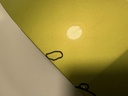 IMG_8425.jpeg