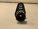 IMG_8295.jpeg