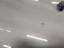 IMG_20260126_085954.jpg