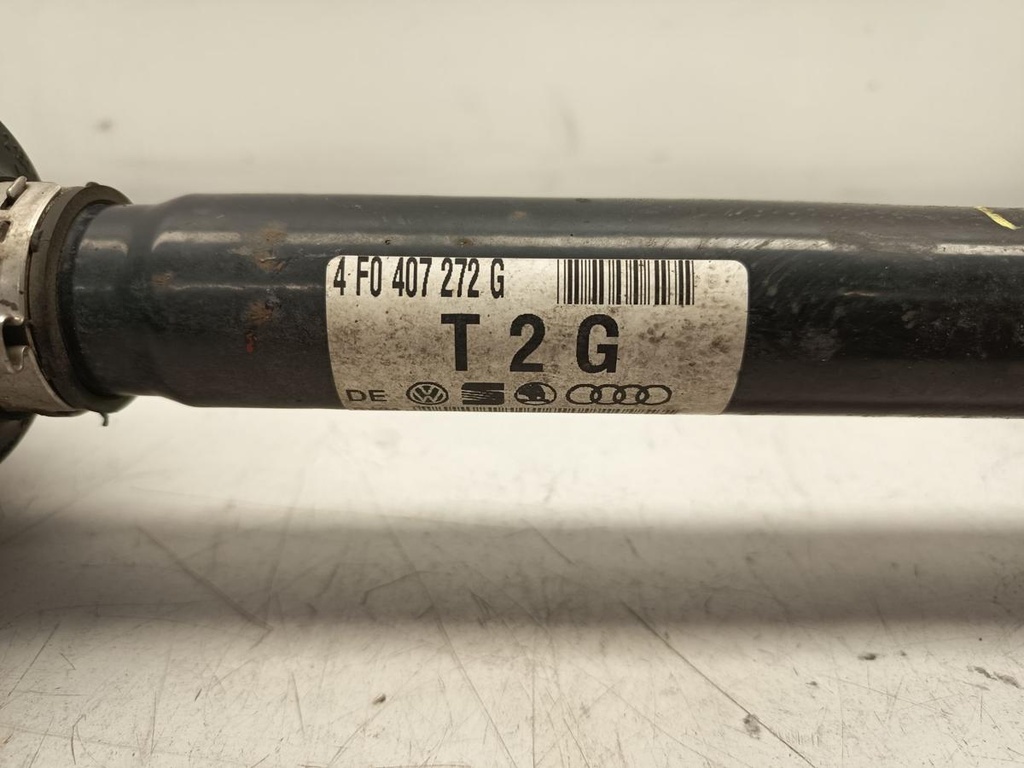 IMG_20260126_103835.jpg