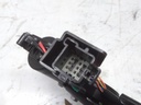 17697755269724246839230425722694.jpg
