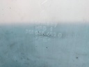 20260130_144831.jpg